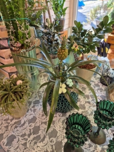 Rupp Blumenladen/Aadorf Elgg