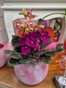 Rupp Blumenladen/Aadorf Elgg