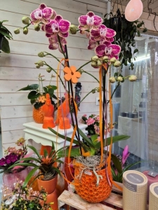 Rupp Blumenladen/Aadorf Elgg